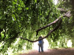 ほめ言葉のシャワー