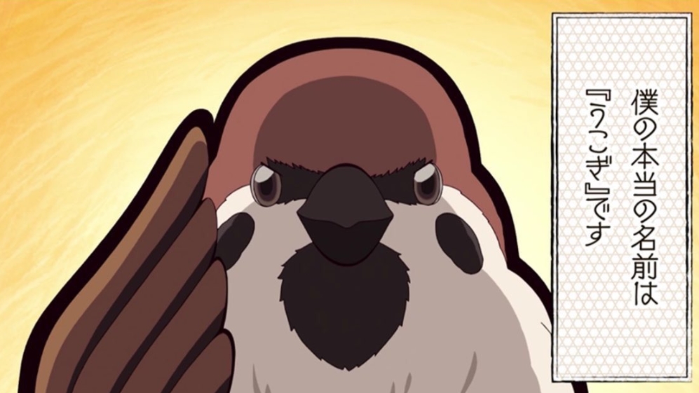 チュン太郎の名前はうこぎ