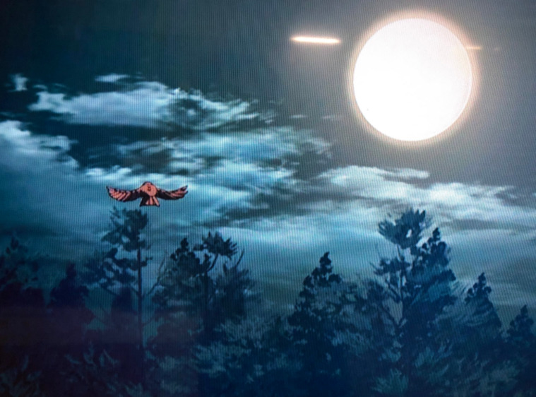 夜空に羽ばたくチュン太郎